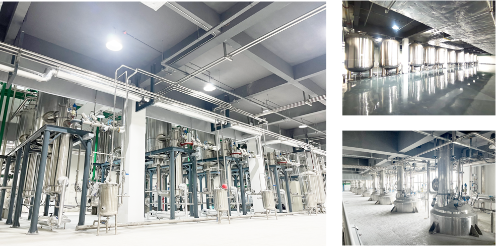 云顶集团·(中国区)官方网站