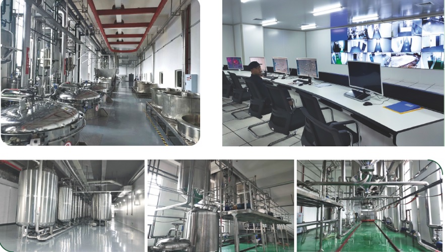 云顶集团·(中国区)官方网站